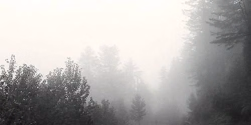 Welcome to Silent Hill (Call of Cthulu)