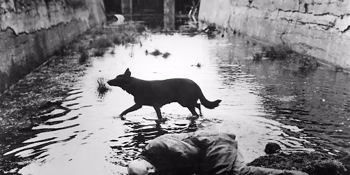 Andrej Tarkovszkij: Sztalker