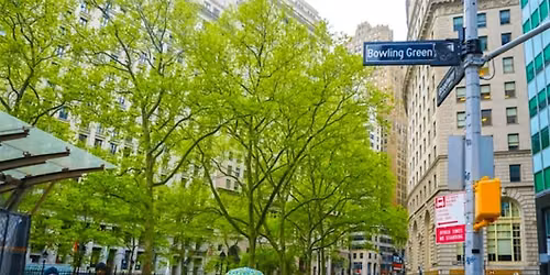 Wall Street Financial Heist Quest