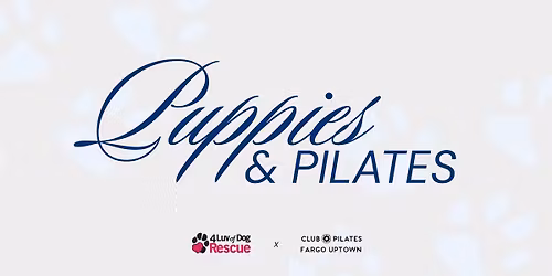 Puppies & Pilates | Club Pilates & 4 Luv of Dogs Rescue