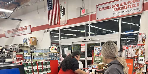 CHRISTMAS EXPERIENCE 