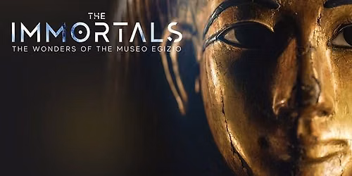 The Immortals - FRAMES in FILM