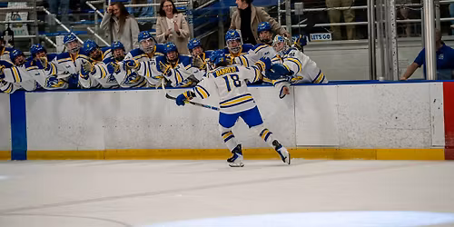 Women's Ice Hockey vs. RIT | Education Night
