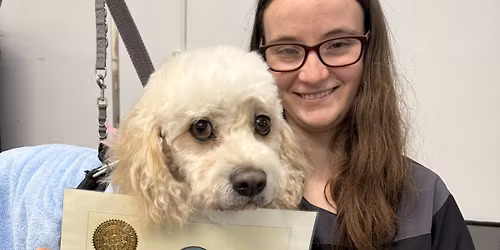 Groom Your Own Dog Workshop