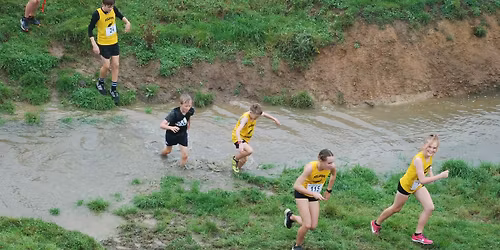Addenbrooke's Farm - Handicap Race