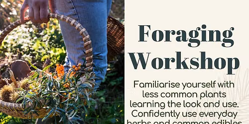 Foraging Workshop! 