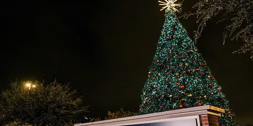 Holiday Tree Lighting Celebration