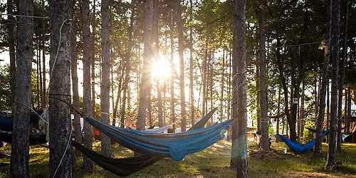 Hammocking and Healing