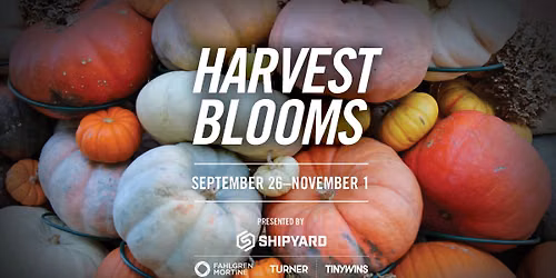 Harvest Blooms