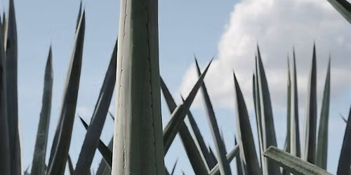 Bahnez Mezcal Tasting
