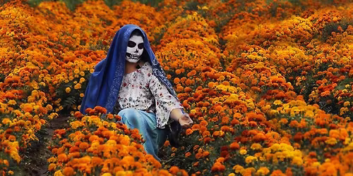 CAMPOS DE CEMPAS\u00daCHIL ATLIXCO
