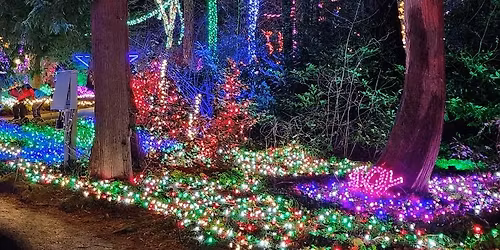 Performance at The Grotto Christmas Festival of Lights