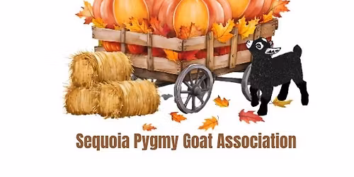 2025 Pygmies & Pumpkins