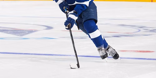Minnesota Wild at Tampa Bay Lightning