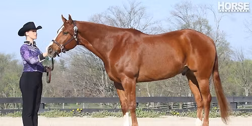 2026 Darke County 4-H PAS Horse Show