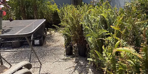 Warehouse Plant Sale SUNDAY 6\/28