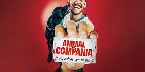 Animal de Compa\u00f1\u00eda en Zaragoza