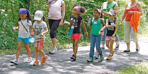 For Kids: Discovery Hike