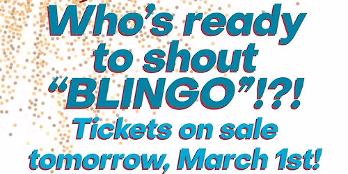 ZONTA Blingo!