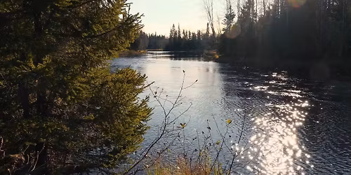 \ud83c\udf3f Tyst vandring l\u00e4ngs Vit\u00e5n \u2013 naturen som kraftk\u00e4lla