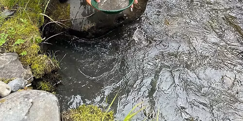 Intermediate gold panning class