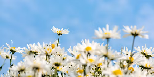 Silence is Golden - silent meditation retreat