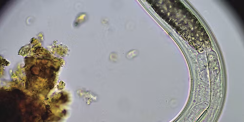 Soil Microscopy Field Day (free event, registration required)