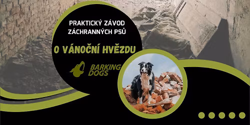 O V\u00c1NO\u010cN\u00cd HV\u011aZDU \u2606