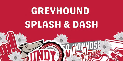 Greyhound Splash & Dash