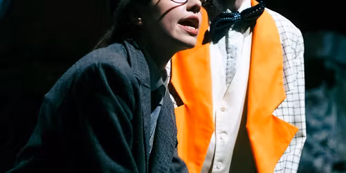 We\u00f6res S\u00e1ndor: Holdb\u00e9li cs\u00f3nakos