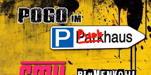 Pogo im Punkhaus