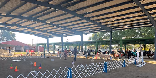 Central California Labrador Retriever All-Breed Obedience and Rally Trials