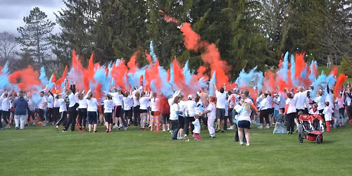 11th Annual Tiger Color Run\/Walk