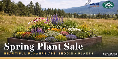 Spring Plant Sale