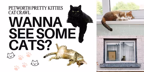 Petworth Pretty Kitties Cat Crawl