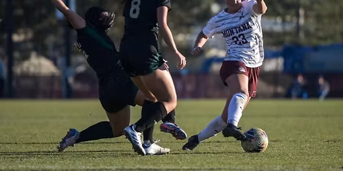 Parking Sacramento State Hornets at Montana Lady Grizzlies Womens Basketball