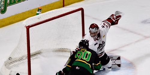 London Knights at Guelph Storm