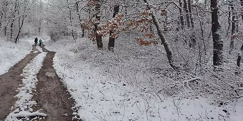 XVIII. Alm\u00e1di Kupa terepfut\u00f3 verseny \u00e9s Balatonalm\u00e1di 11 gyalogos teljesitm\u00e9nyt\u00fara