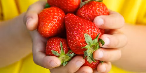 Strawberry Fields Forever (FREE Kid Event)