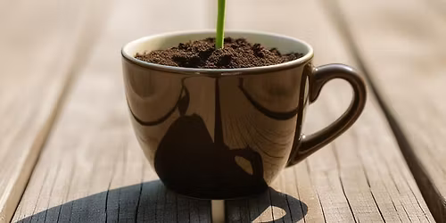 Joining the Corvallis Christmas Bazaar 2025