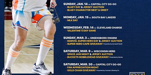 Osceola Magic at Grand Rapids Gold at Van Andel Arena