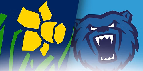 Vitality Blast: Glamorgan Men vs Warwickshire Bears