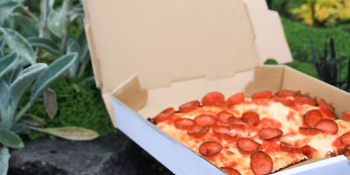 Friday Piano + Detroit Style Pizza Night! 