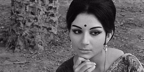 Days and Nights in the Forest