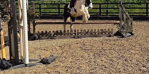 knightswood Show Jump Clinic 