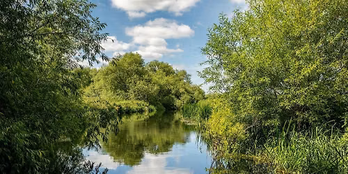 Writing the River