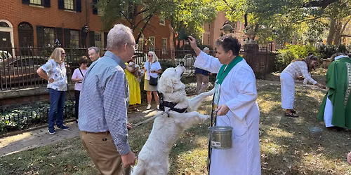 Blessing of the Animals