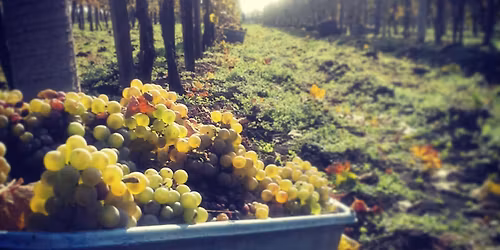 M\u00c1TRA \u00fajra \u00e9s \u00fajra - SAVE THE DATE!