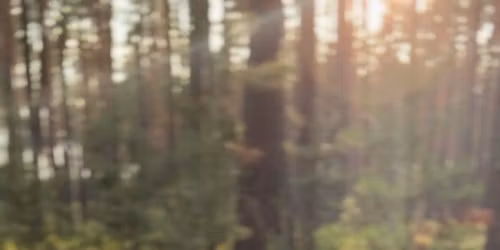 \u017densk\u00fd kruh s dechem