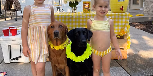 Lainey & Millie\u2019s 4th Annual LemonAID Stand for Hearing Aids! \ud83c\udf4b\ud83e\uddbb\ud83c\udffb\ud83d\udc9b\ud83e\udd1f\ud83c\udffb